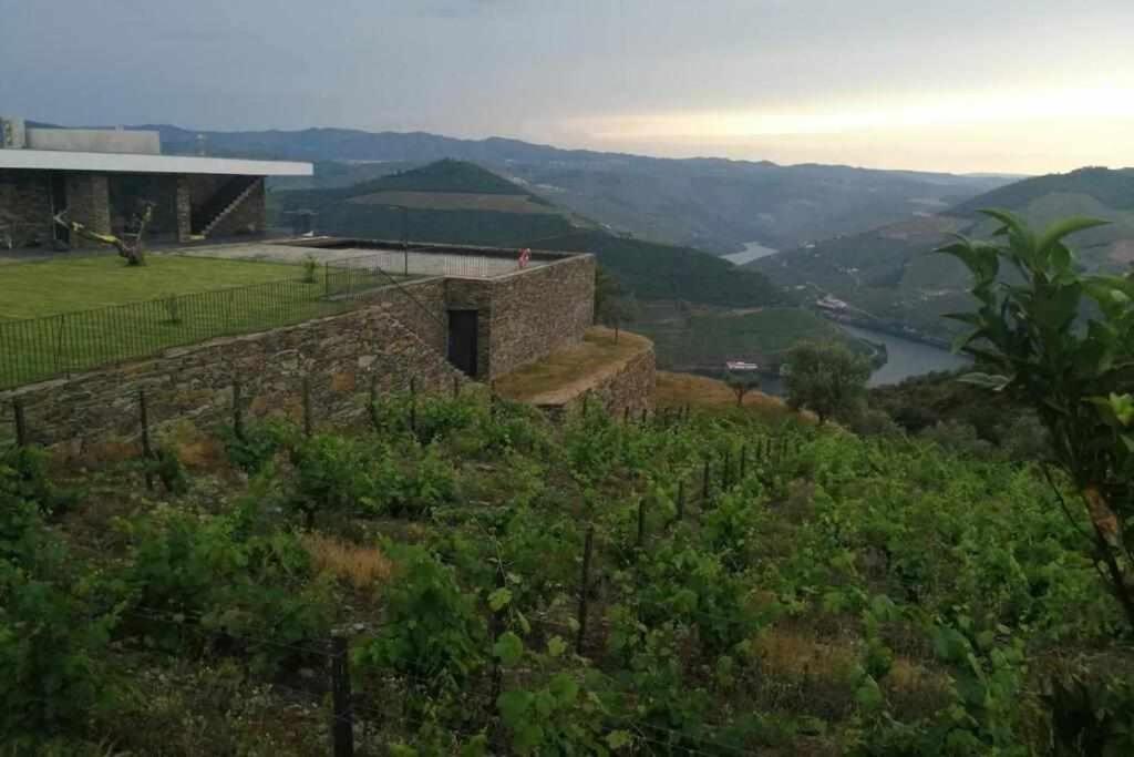 Quinta Vale Das Papas Casal de Loivos Екстериор снимка