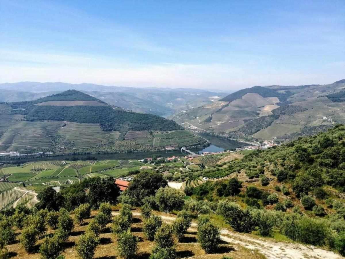 Quinta Vale Das Papas Casal de Loivos Екстериор снимка